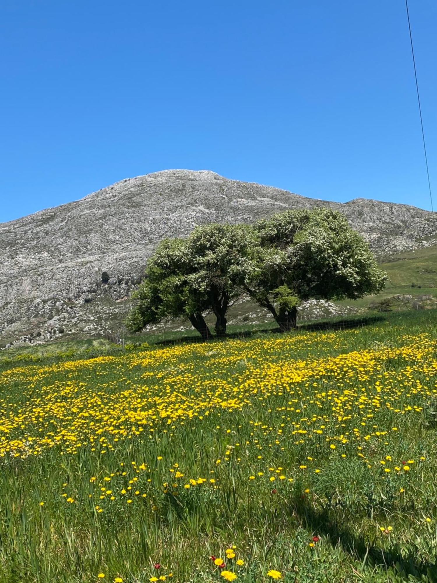 Costas Inn Spílion Exteriér fotografie